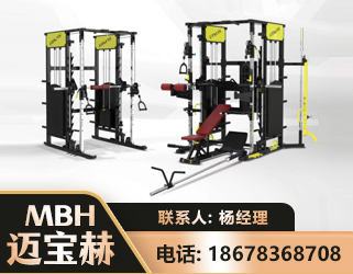 临沧多功能综合训练器