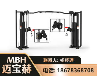 临沧大飞鸟训练器