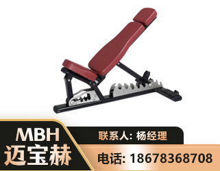 临沧可调哑铃椅