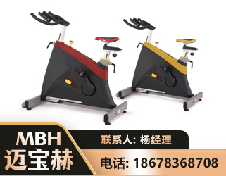 临沧商用动感单车